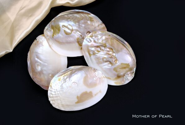 Mother of Pearl 2